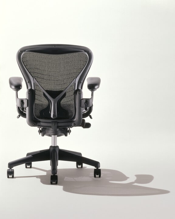 Back ofAeron Chair-Ergonomic Chair Central